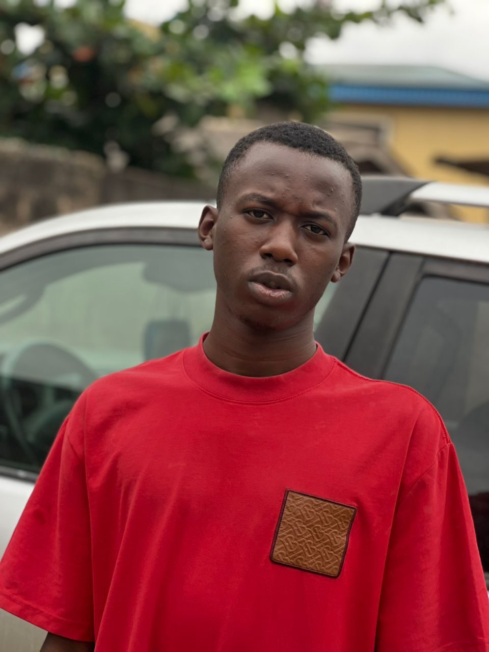 Nelson Adegoke Adelegan